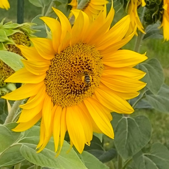 Meet your Posher, Lindsay - Picture 2 of 15